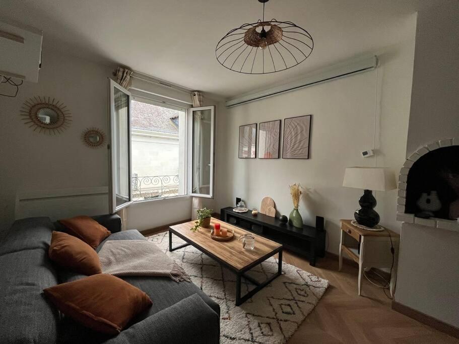 T3 Cinema - Centre Historique, Bord De Loire Apartment Тур Екстериор снимка