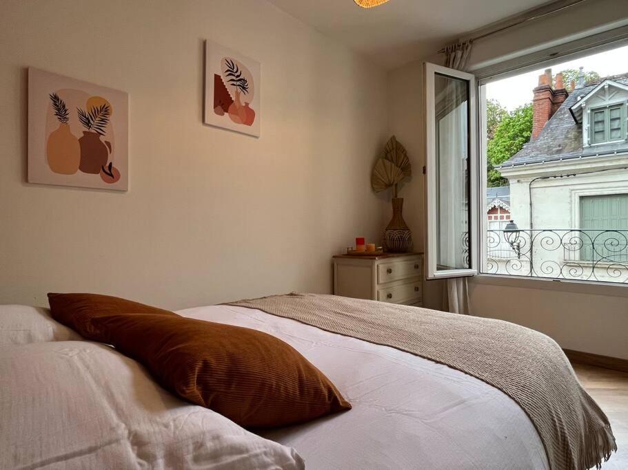 T3 Cinema - Centre Historique, Bord De Loire Apartment Тур Екстериор снимка